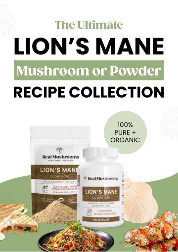 Cover of the plant-based Lion's Mane recipe guide
